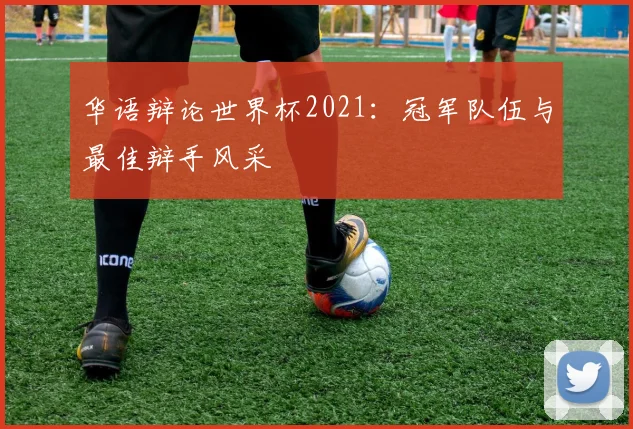华语辩论世界杯2021：冠军队伍与最佳辩手风采