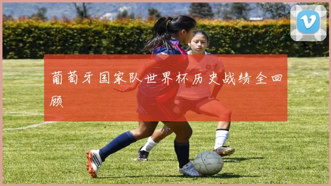 葡萄牙国家队世界杯历史战绩全回顾
