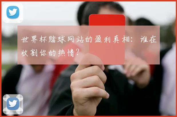 世界杯赌球网站的盈利真相：谁在收割你的热情？
