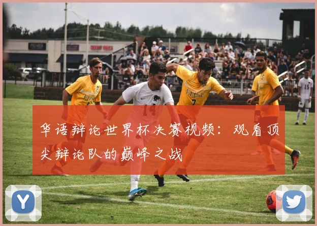 华语辩论世界杯决赛视频：观看顶尖辩论队的巅峰之战