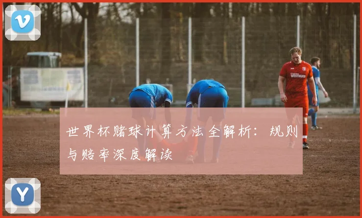世界杯赌球计算方法全解析：规则与赔率深度解读