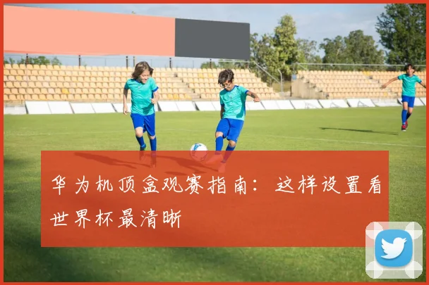 华为机顶盒观赛指南：这样设置看世界杯最清晰
