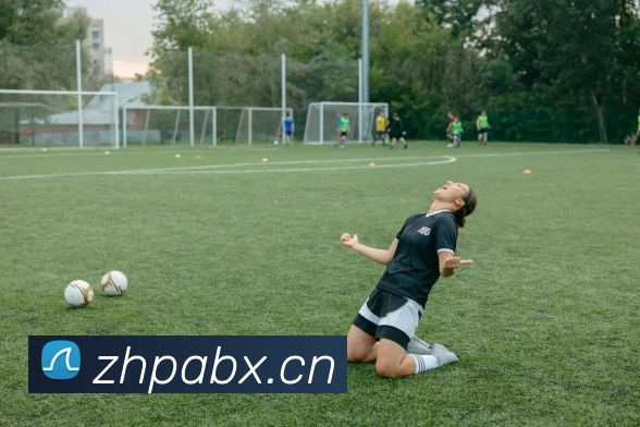 米兰体育网页官网平台生态图