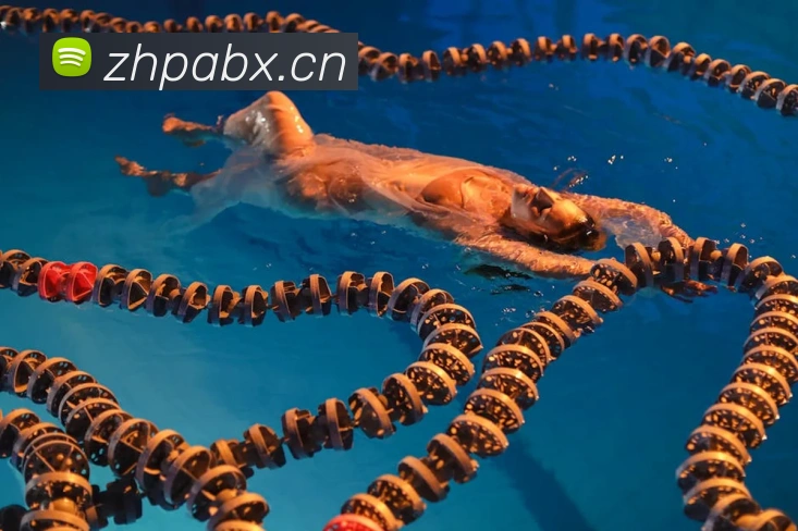 辅助工具 辅助工具